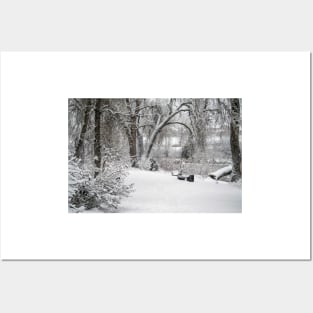 Winter scenery Posters and Art